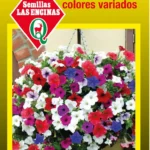 Semillas de Petunia Pendula