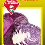 Semillas de Repollo Morado