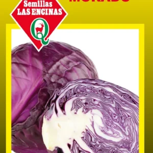 Semillas de Repollo Morado - Sobre para Huerto - Calidad Tradicional para Huerto en Chile