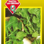 Semillas de Rúcula Cultivada