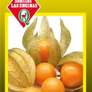 Semillas de Physalis (Linterna China) - Sobre para Huerto - Calidad Tradicional para Huerto en Chile
