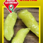 Semillas de Aji Blanco Cristal
