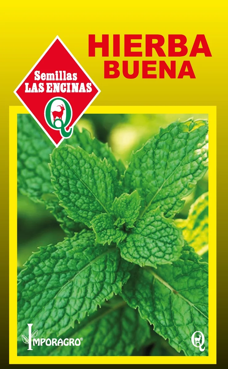 Semillas de Zapallo Italiano Redondo Verde Oscuro - Sobre para Huerto - Calidad Tradicional para Huerto en Chile
