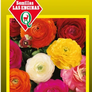 Semillas de Ranunculus Variados Dobles - Sobre para Huerto - Calidad Tradicional para Huerto en Chile