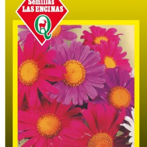 Semillas de Reina Luisa Americana - Sobre para Huerto - Calidad Tradicional para Huerto en Chile