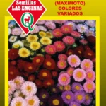 Semillas de Reina Luisa Matsumoto - Sobre para Huerto