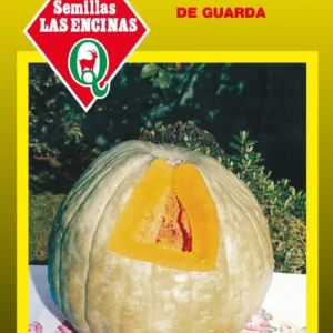 Semillas de Zapallo Camote de Guarda - Sobre para Huerto