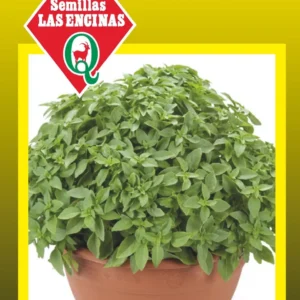 Semillas de Albahaca Enana