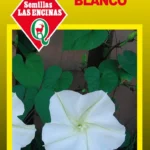 Semillas de Suspiro Blanco