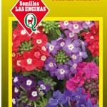 Semillas de Verbena Doble Variada Mezcla Extra