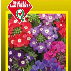 Semillas de Verbena Doble Variada Mezcla Extra - Sobre para Huerto - Calidad Tradicional para Huerto en Chile