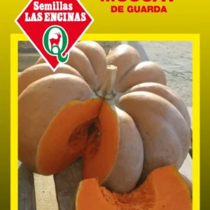 Semillas de Zapallo Muscat de Guarda - Sobre para Huerto