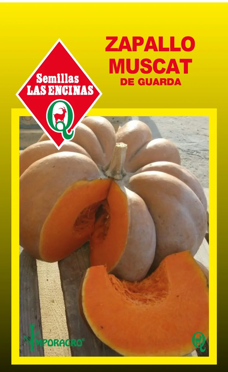 Semillas de Zapallo Muscat De Guarda