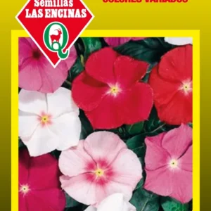 Semillas de Vinca - Sobre para Huerto - Calidad Tradicional para Huerto en Chile