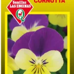 Semillas de Viola Cornutta