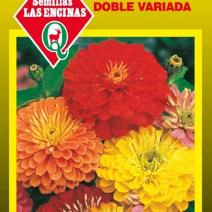 Semillas de Zinnia Gigante Doble Variada - Sobre para Huerto