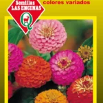 Semillas de Zinnia Pom Pon