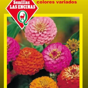 Semillas de Zinnia Pom Pon - Sobre para Huerto