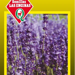 Semillas de Lavanda