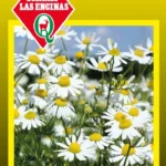 Semillas de Manzanilla