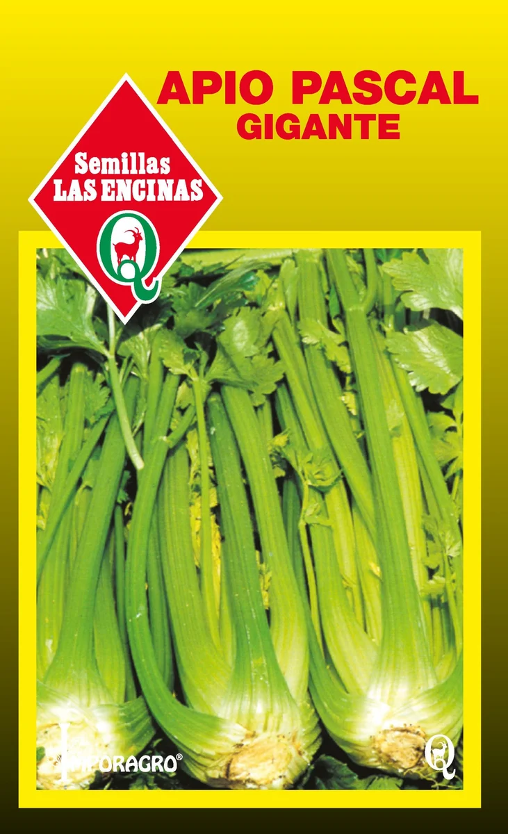 Semillas de Apio Pascal Gigante