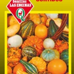 Semillas de Calabacines Surtidos - Sobre para Huerto