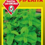 Semillas de Menta Piperita - Sobre para Huerto