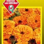 Semillas de Calendula (Chinita) - Sobre para Huerto