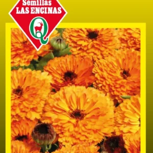 Semillas de Calendula (Chinita)