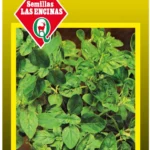 Semillas de Orégano