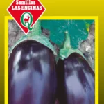 Semillas de Berenjena