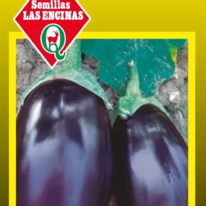Semillas de Berenjena - Sobre para Huerto - Calidad Tradicional para Huerto en Chile