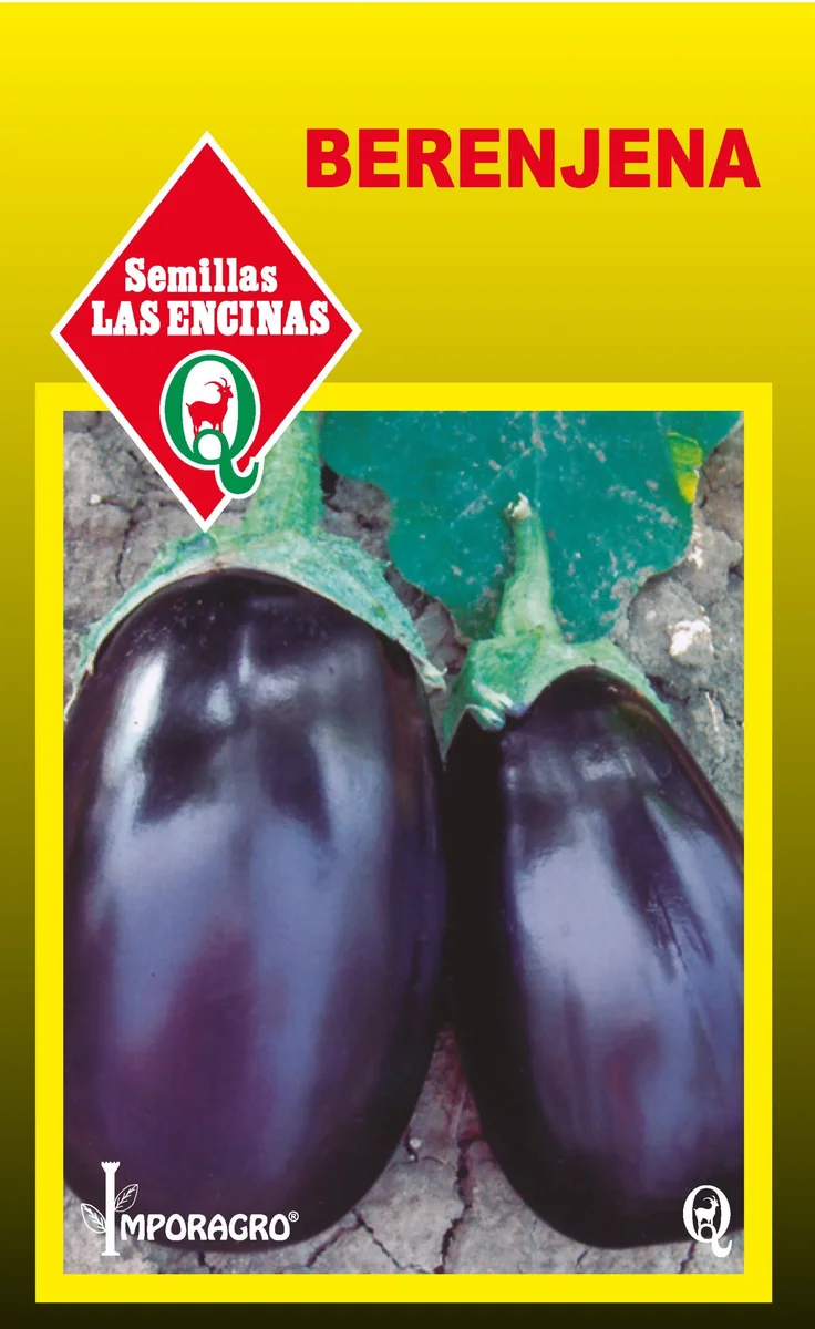 Semillas de Berenjena
