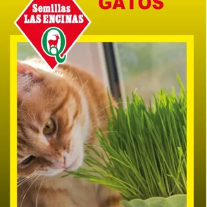 Semillas de Pasto Para Gatos