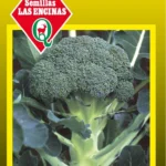 Semillas de Broccoli - Sobre para Huerto