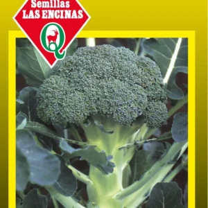 Semillas de Broccoli - Sobre para Huerto - Calidad Tradicional para Huerto en Chile