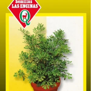 Semillas de Nabo Blanco Largo - Sobre para Huerto - Calidad Tradicional para Huerto en Chile