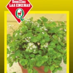 Semillas de Berros