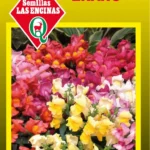 Semillas de Cartucho Enano