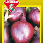Semillas de Cebolla Morada De Guarda