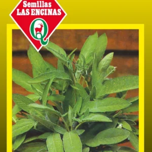 Semillas de Salvia - Sobre para Huerto - Calidad Tradicional para Huerto en Chile