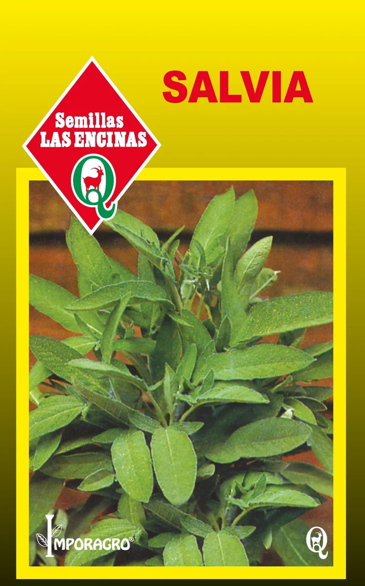 Semillas de Salvia