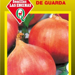 Semillas de Cebolla Valenciana de Guarda - Sobre para Huerto - Calidad Tradicional para Huerto en Chile