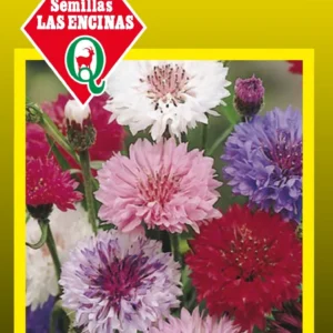 Semillas de Centaurea Variada Doble