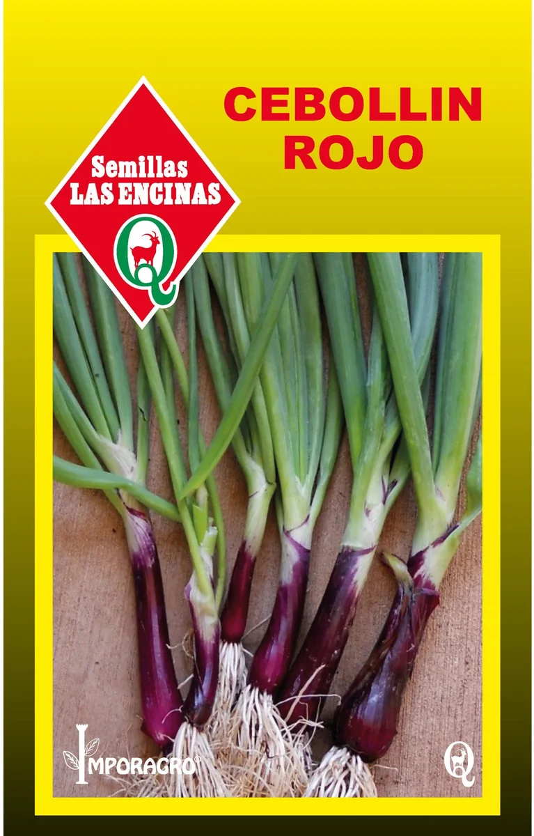 Semillas de Cebollin Rojo - Imagen 3