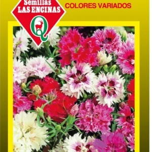 Semillas de Clavelina China Doble Variada