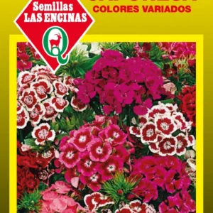 Semillas de Clavelina Japonesa Colores Variados