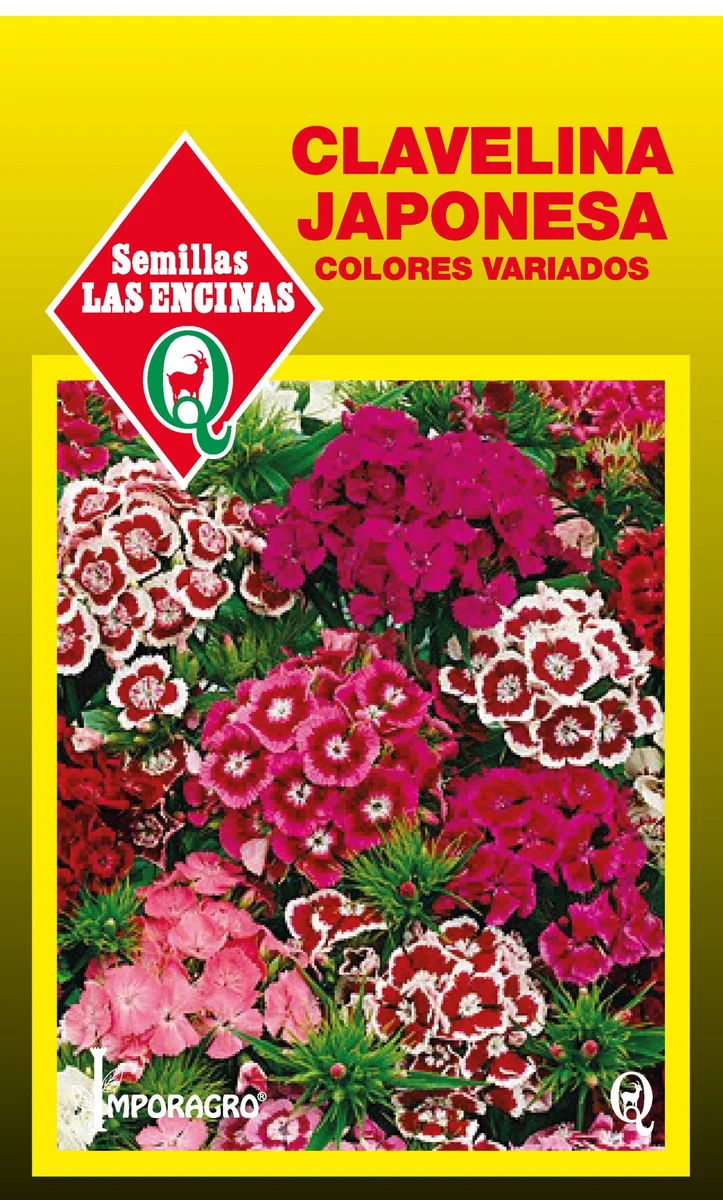Semillas de Clavelina Japonesa Colores Variados - Sobre para Huerto - Calidad Tradicional para Huerto en Chile