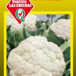 Semillas de Coliflor Snowball "Y"