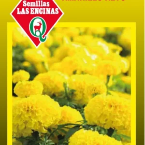 Semillas de Clavelon Alto
